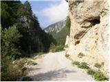 Rute / Greuth - Podgorska planina / Maria Elender Alm